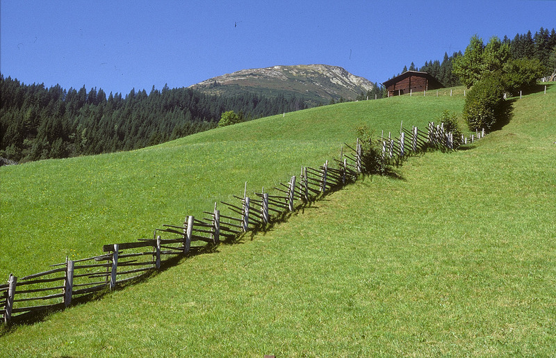 Stangenzaun am Pankrazberg, Fügenberg