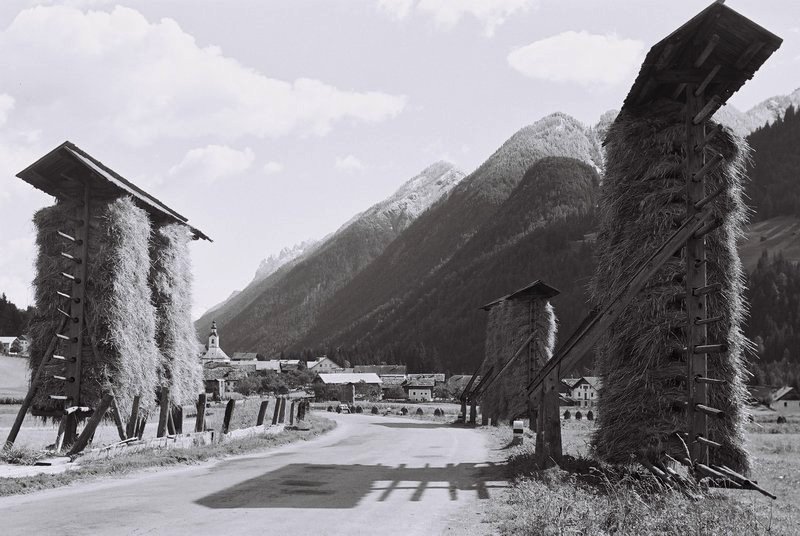 Getreideharpfen im Osttiroler Pustertal, 1955