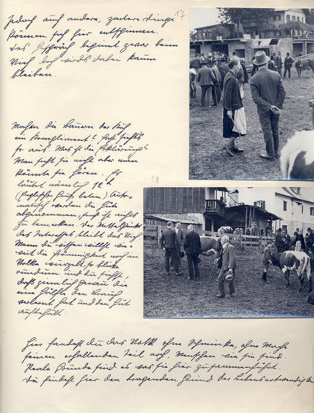 Heimatfotografie in Österreich – ein Viehmarkt in Kitzbühel (1934)